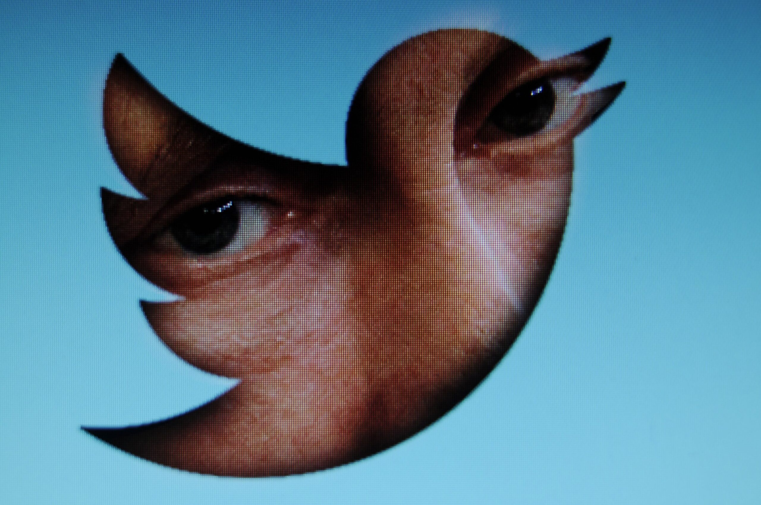 Nonprofits Dragged Into Russian Efforts to Peddle Falsehoods on Twitter, Salvaged Data Shows