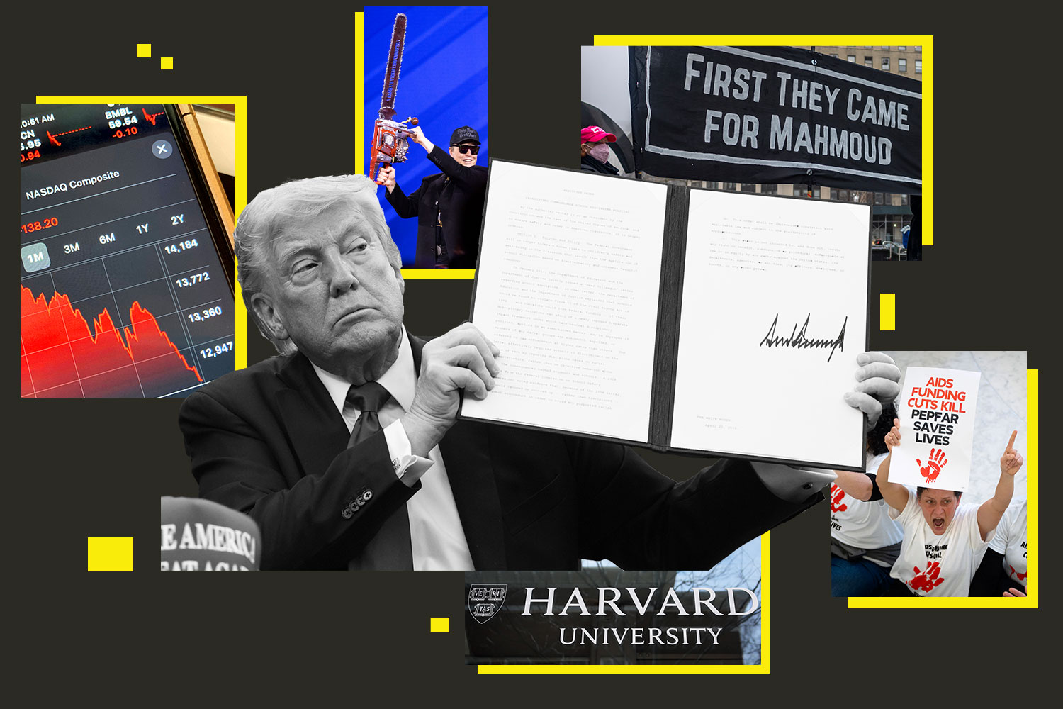 0430-100days-harvard-yellow.jpg