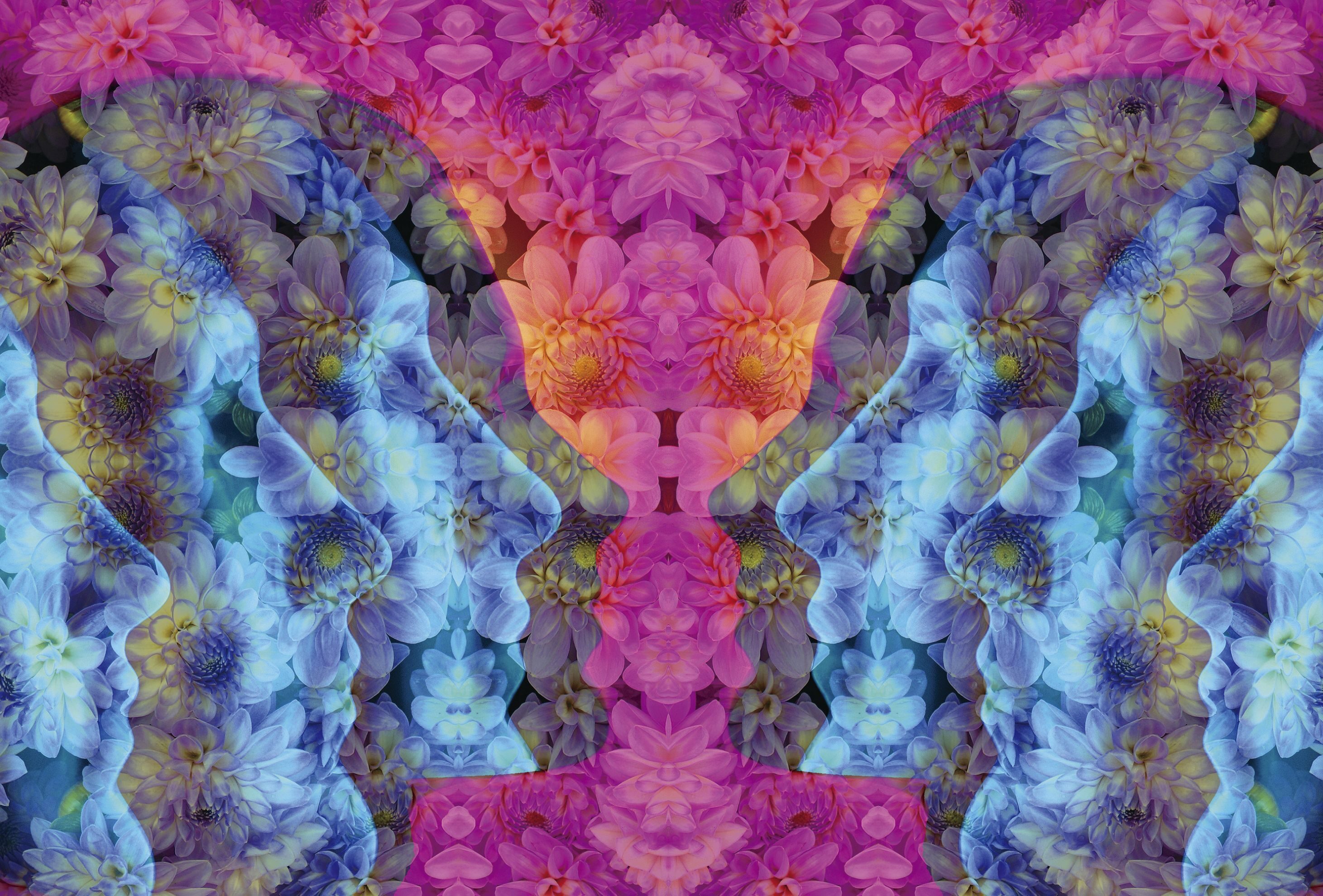 With Government Skittish About Psychedelics, Philanthropy Funds Promising Research 4