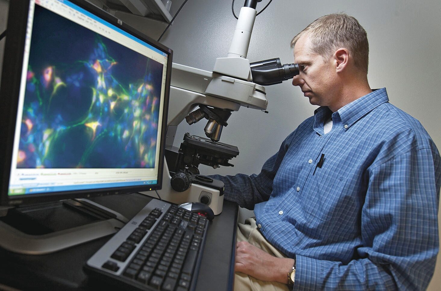 A $50-million gift by the founders of the Foundation Fighting Blindness is supporting the work of David Gamm and other researchers. The charity is using the donation to spark a $100-million capital drive.