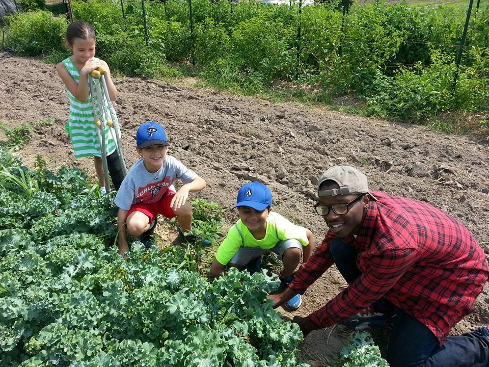 Ferguson high school student Cameron Hill shows three campers how to harvest kale on a field trip to the nonprofit EarthDance Farms last summer. Come Together Ferguson gave $5,000 to the Youth Exploring Agriculture & Health program at the group for this season.
