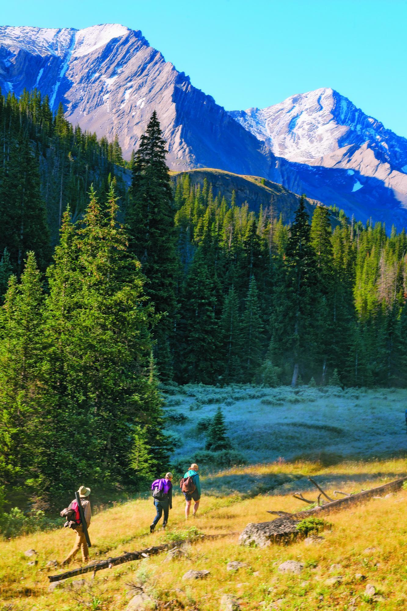 SAFE PASSAGE: The Wilderness Society aims to protect lands connecting central Idaho (above) and Yellowstone.