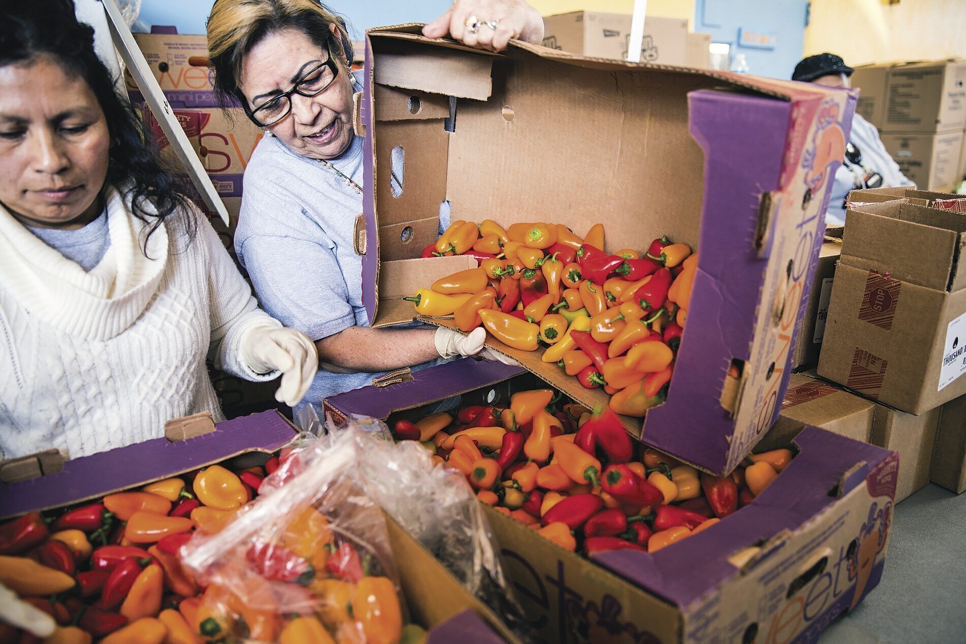 Second Harvest Food Bank rode out the recession and grew: Giving to the organization by individual donors has more than doubled in the past eight years, to $26 million.