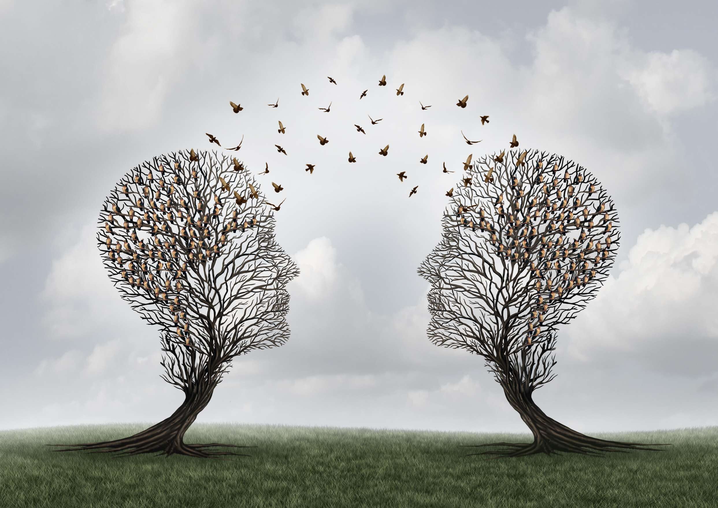 FYAMDA — Concept of communication and communicating a message between two head shaped trees with birds perched and flying to each other as a metaphor for teamwork and business or personal relationship with 3D illustration elements.