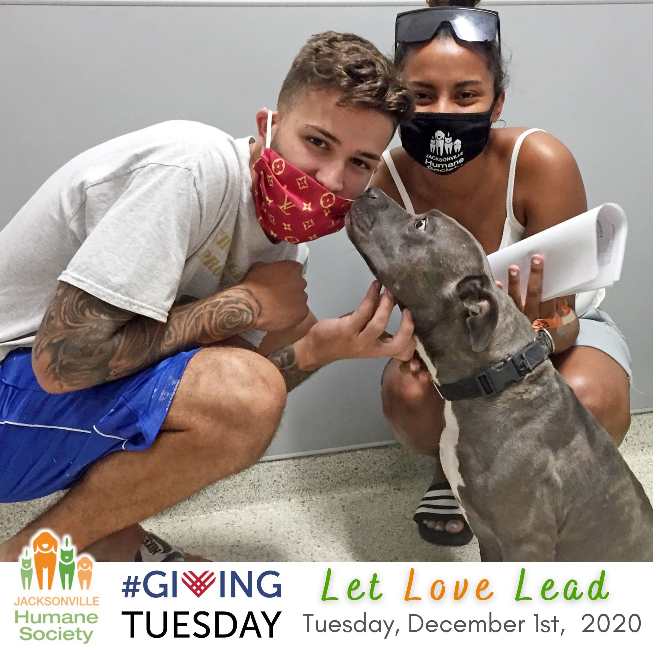 Social media campaign for Jacksonville Humane Society.