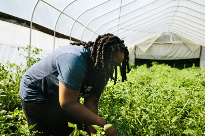edge-farm2020-7877-1.jpg