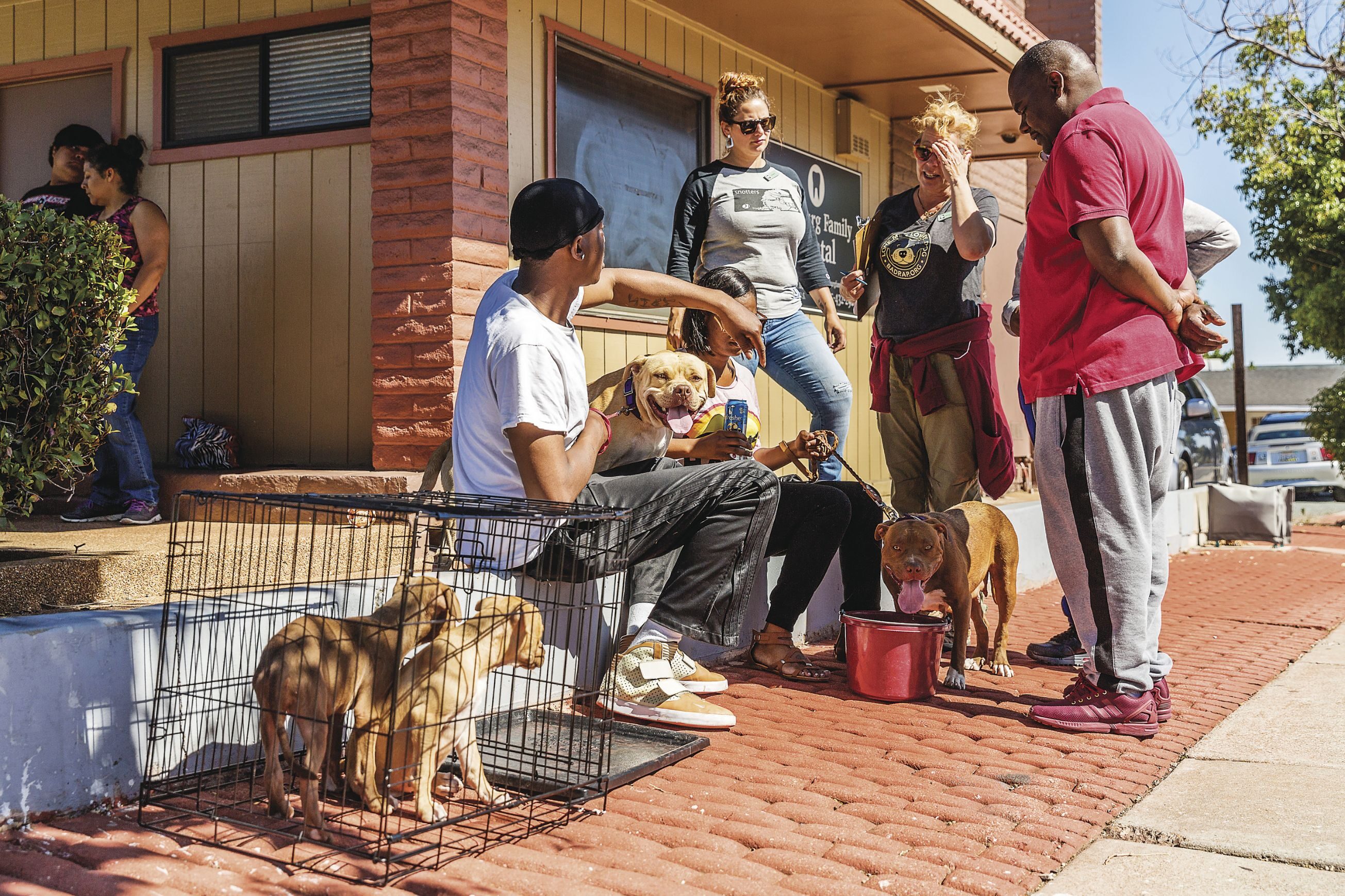 THE POWER OF SINGLES: Xanadu Bruggers (center) is vice president of Spinsters of San Francisco, a group of unmarried women who raise money  and volunteer for charities. She also lends her time to other nonprofits, including BadRap, a pit-bull rescue group in Oakland, Calif.