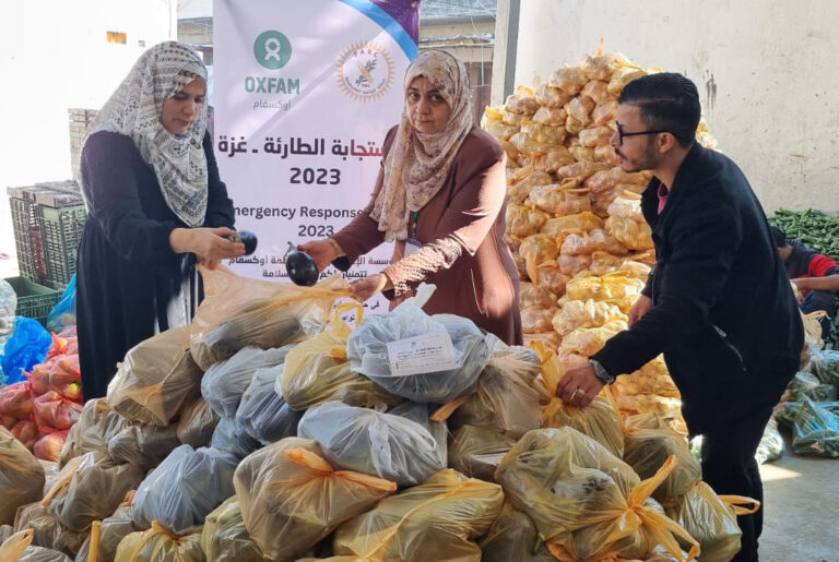 haynes23yearendresults-rs365181-vegetables-parcels-distribution.jpeg