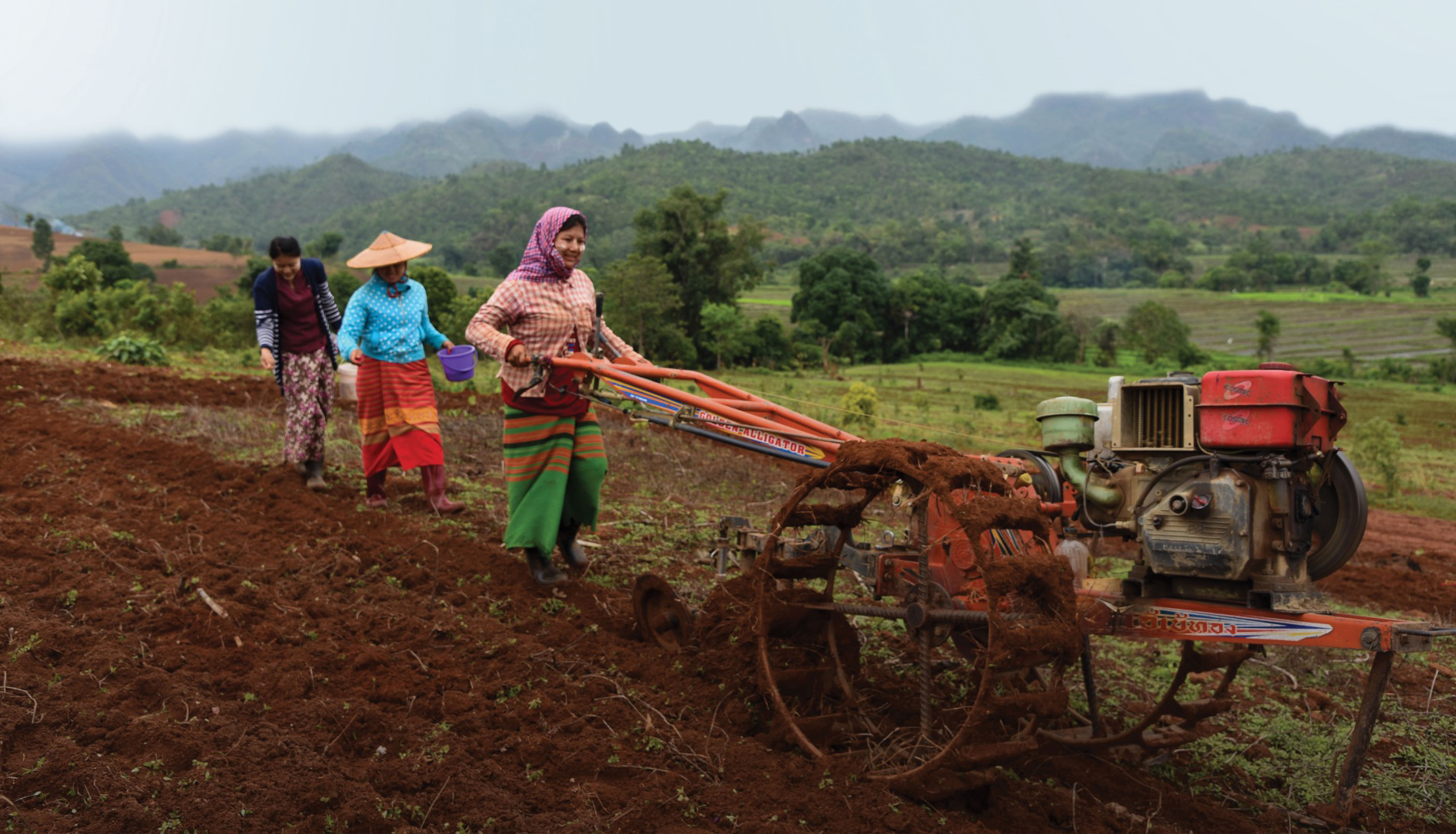 haynescampaigns1118-myanmar-2.jpg