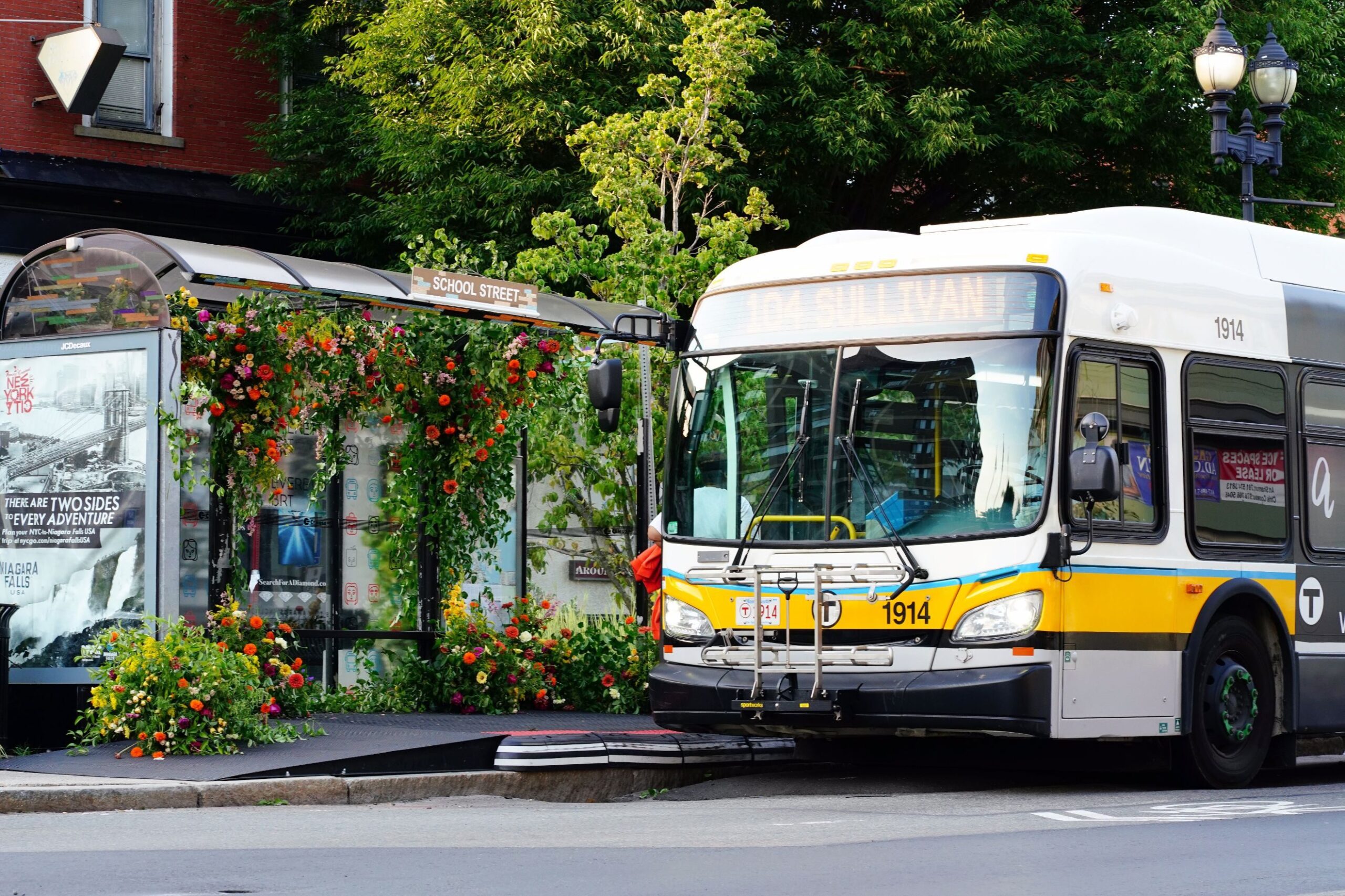 jacobsonbuses-01.jpg