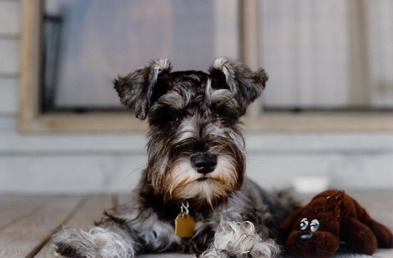 maddie-and-friend.jpg