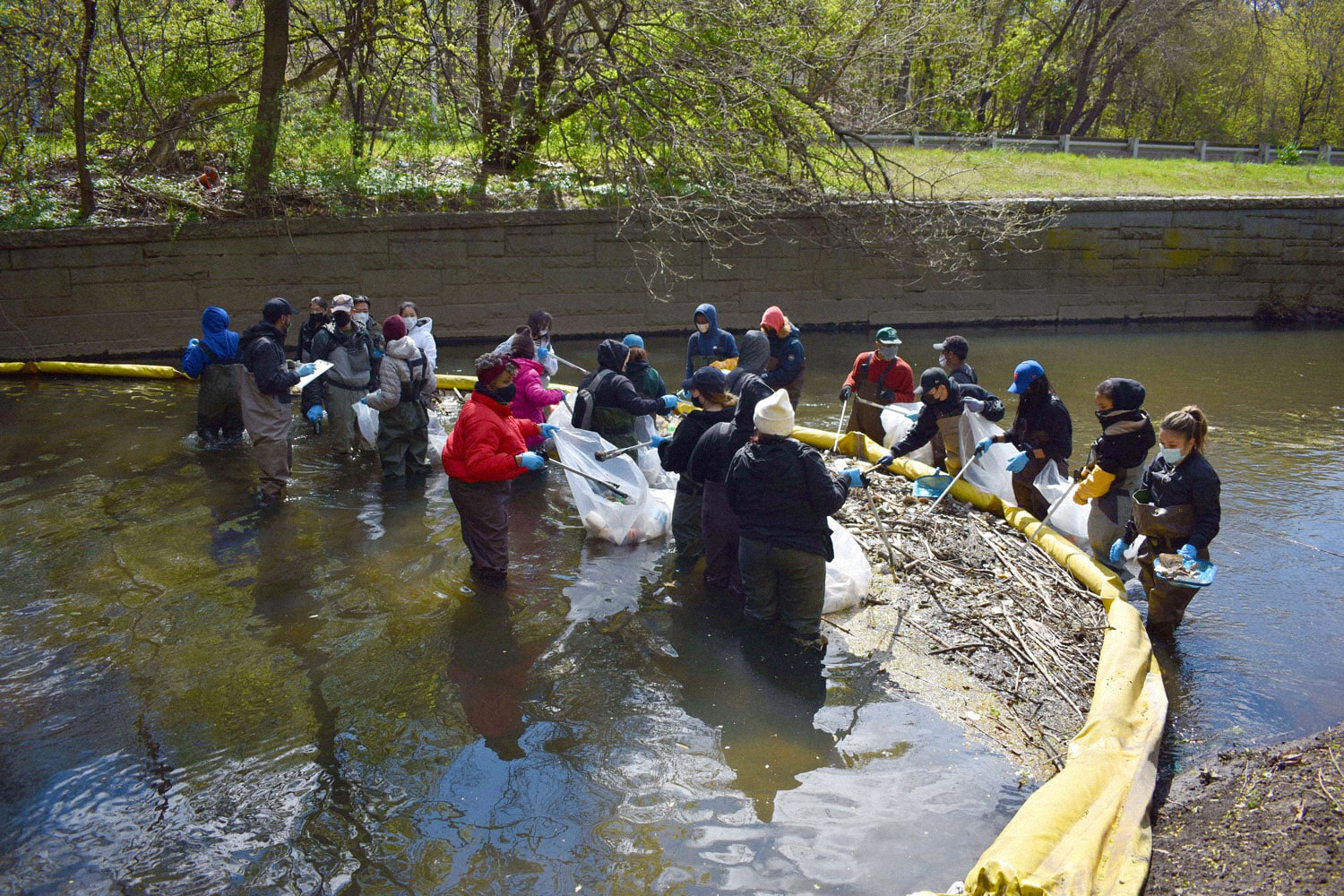 Bronx River Alliance cleanup efforts have helped the restoration of a teeming ecosystem in and around the 23-mile course of the river through southern Westchester and the Bronx.