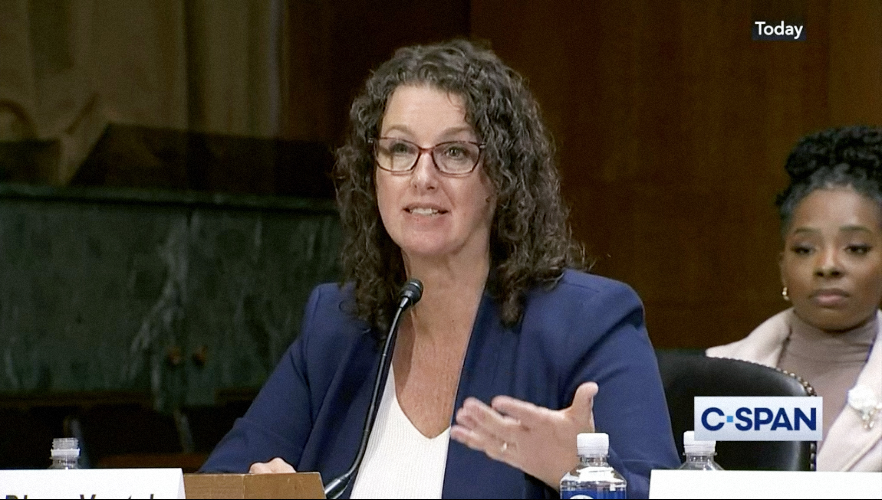 Diane Yentel testifies before Congress