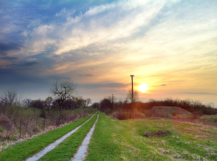 Two Chicago-area foundations awarded $1 million each for work to restore the Midewin National Tallgrass Prairie to its natural state.