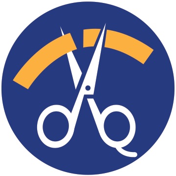 Budget icon 1