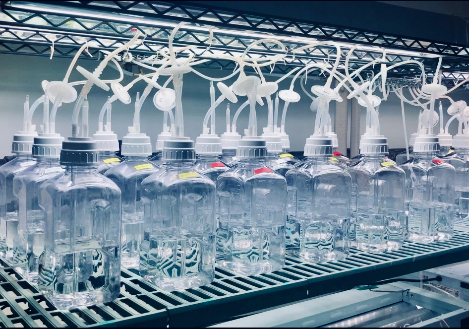 prestgrants-0612-lab-copy.jpg
