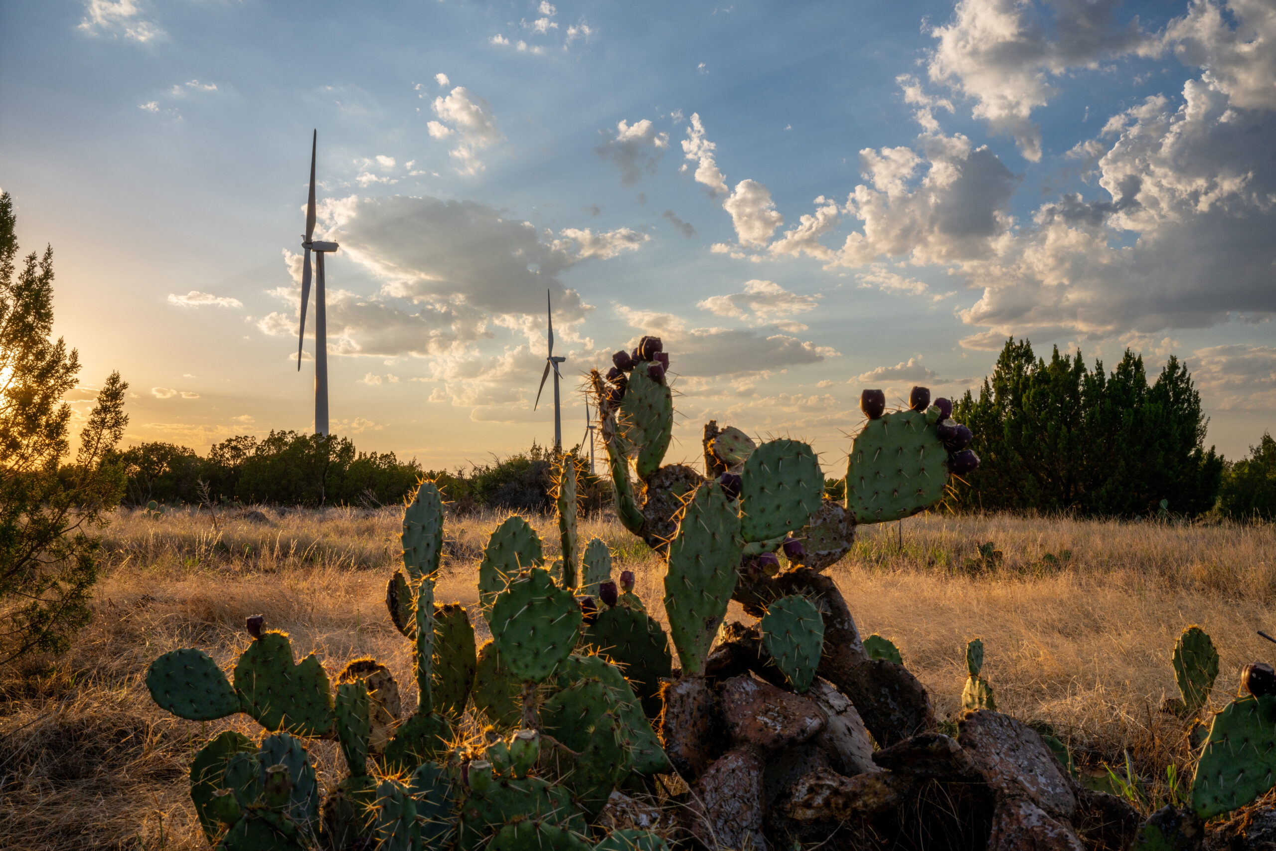 prestgrants-0925-gettyimages-1691641786.jpg