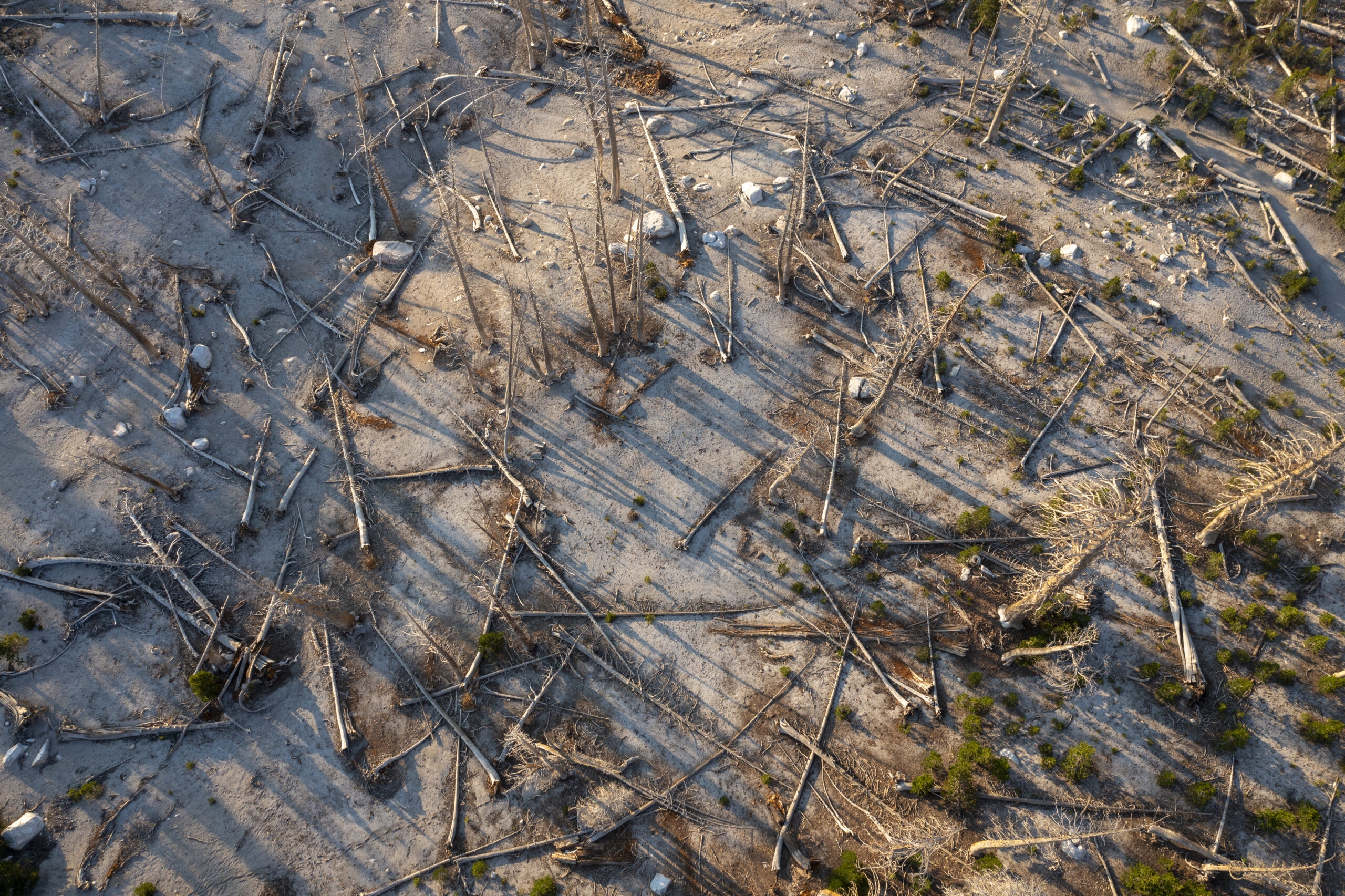 prestgrants-1017-gettyimages-1242168598.jpg