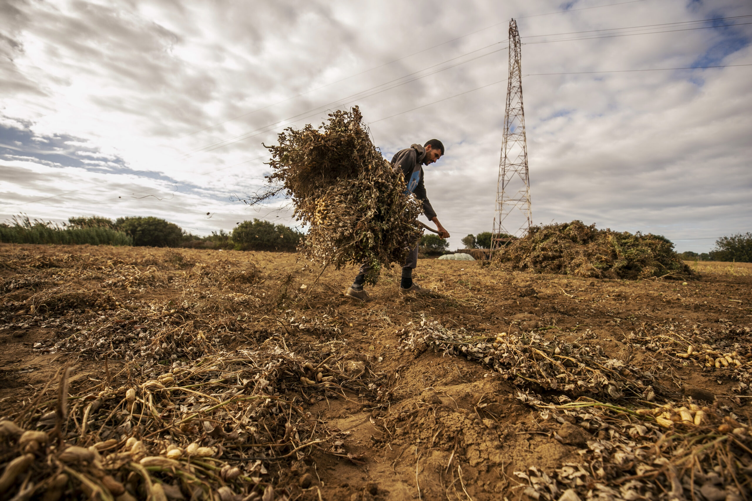 prestgrants-1211-gettyimages-1836546335.jpg