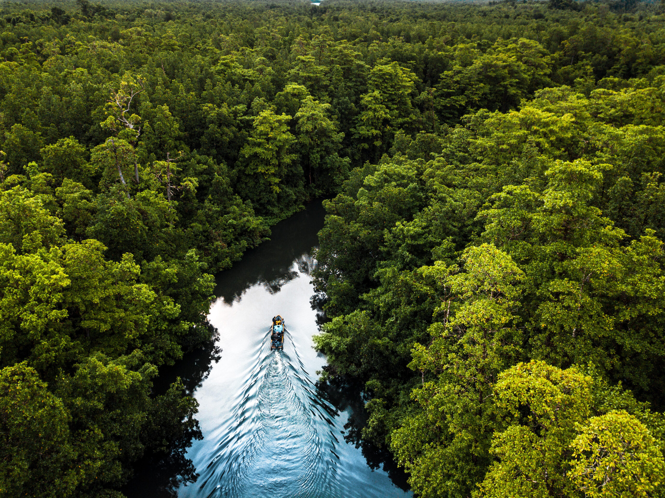 rendon-climateconservation-927-solomon-islands.jpg