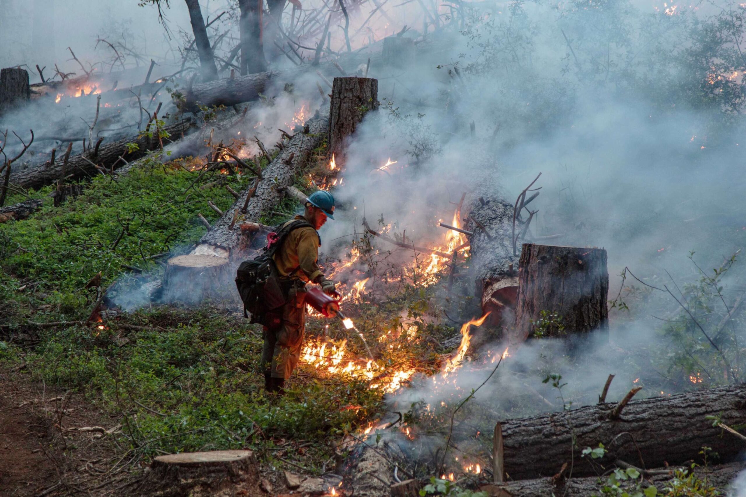 stiffmanwildfire-h-15297888.jpeg