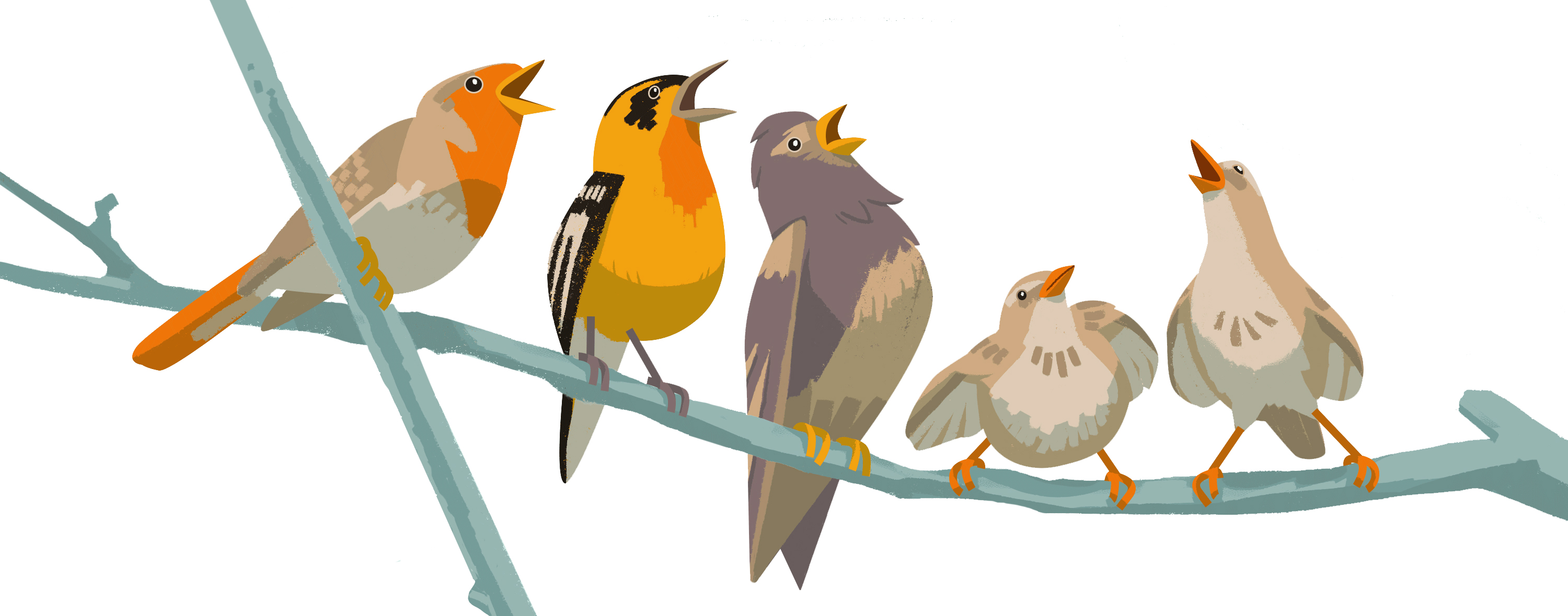 A row of birds singing on a tree branch