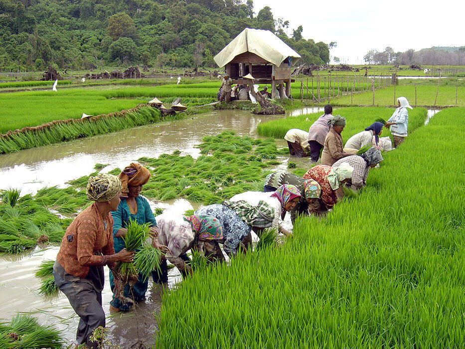 worldvision.jpg