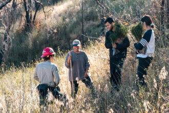 Four people, two holding bundles of saplings and one with a shovel, stand in a sunny, grassy field, appearing to be planting trees. One person wears a red hard hat.