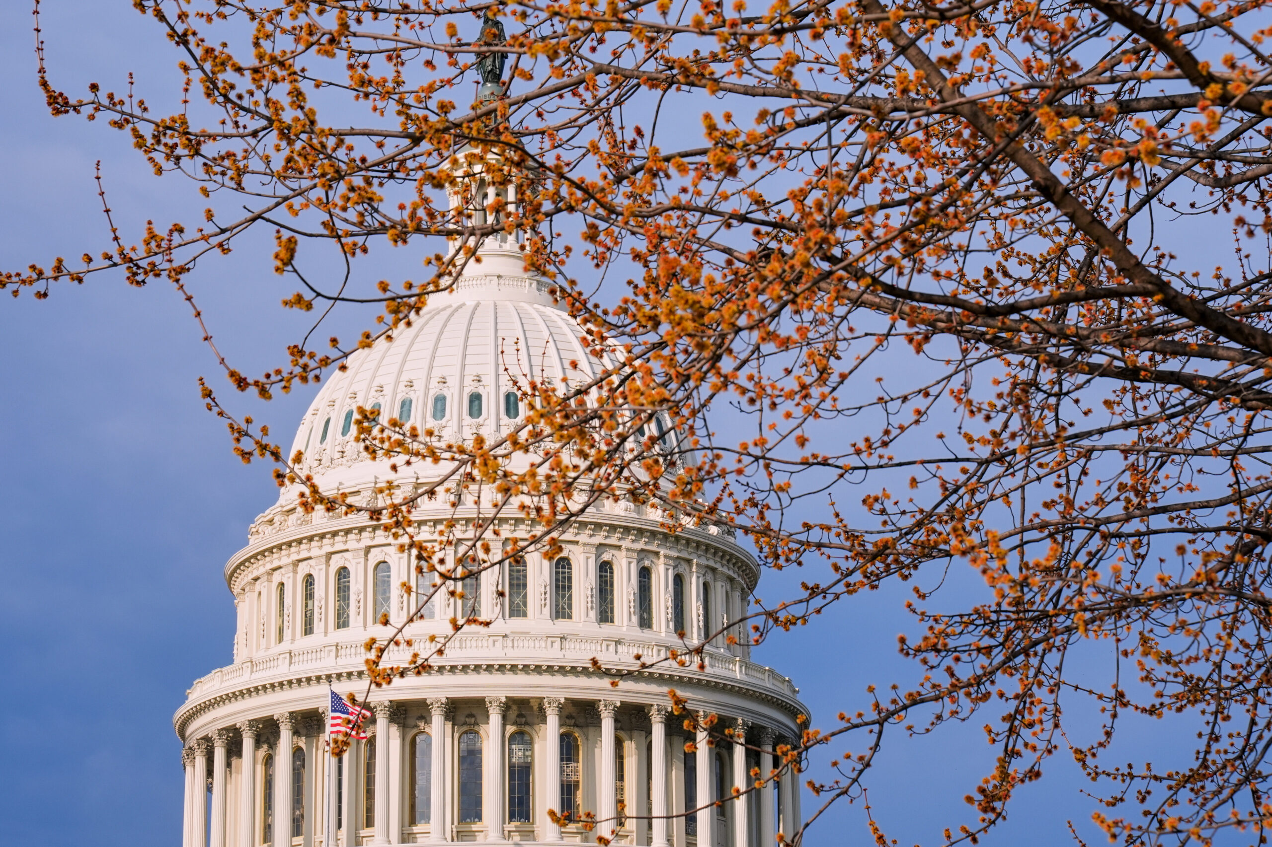 Nonprofit Leaders Call for Unity  to Combat Government Threats