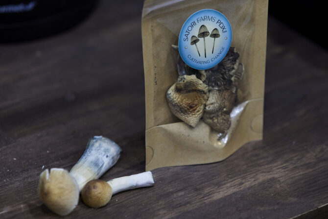 As psychedelics near FDA approval, donors rush to fund the next frontier