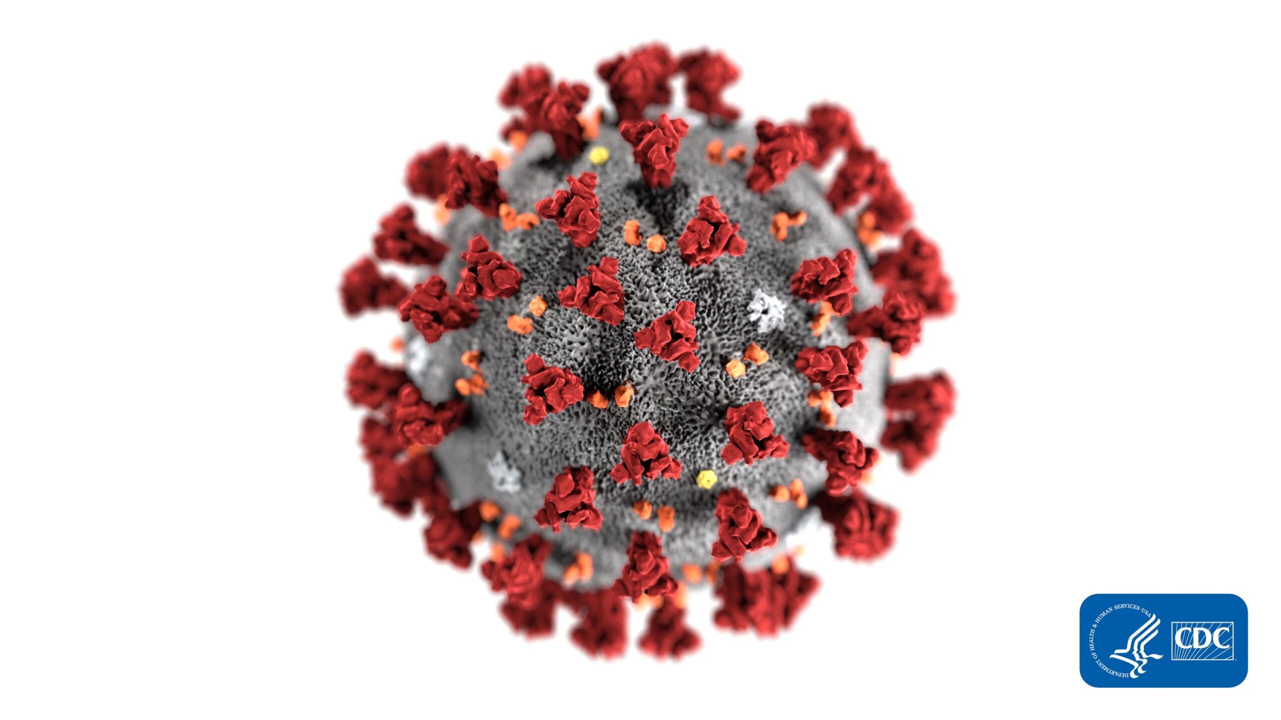 Nonprofit Conference Attendees Worry About Coronavirus