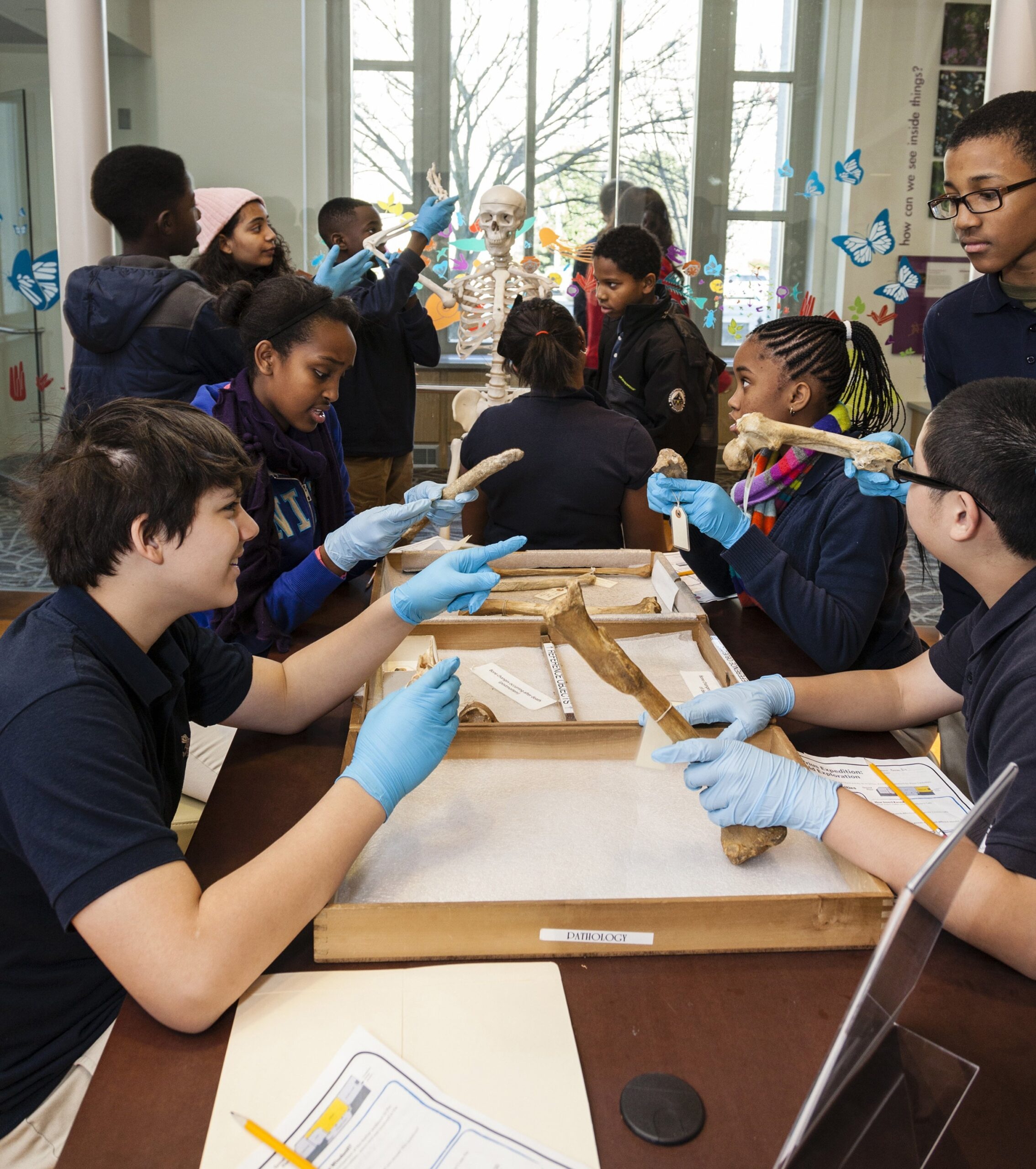 Gifts: Gemologist Gives $13 Million to Natural History Museum