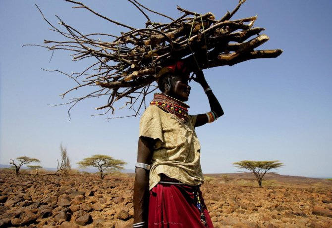 A New Project Seeks to Solve the Need for Household Fuel