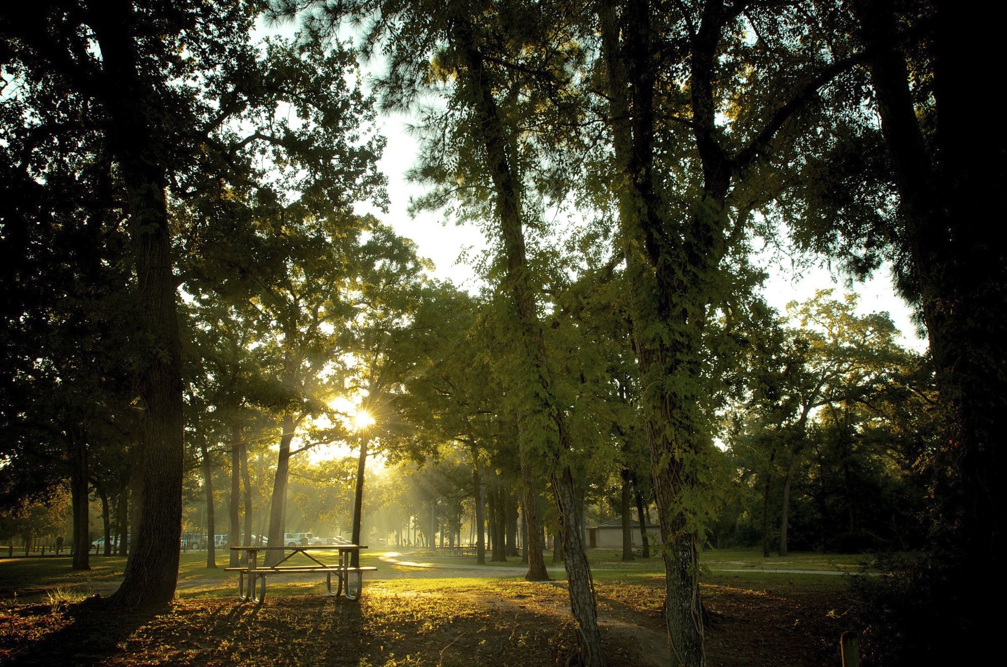 Gifts Roundup: Houston Couple Gives $70 Million for Park; Calif. Music School Gets $46 Million