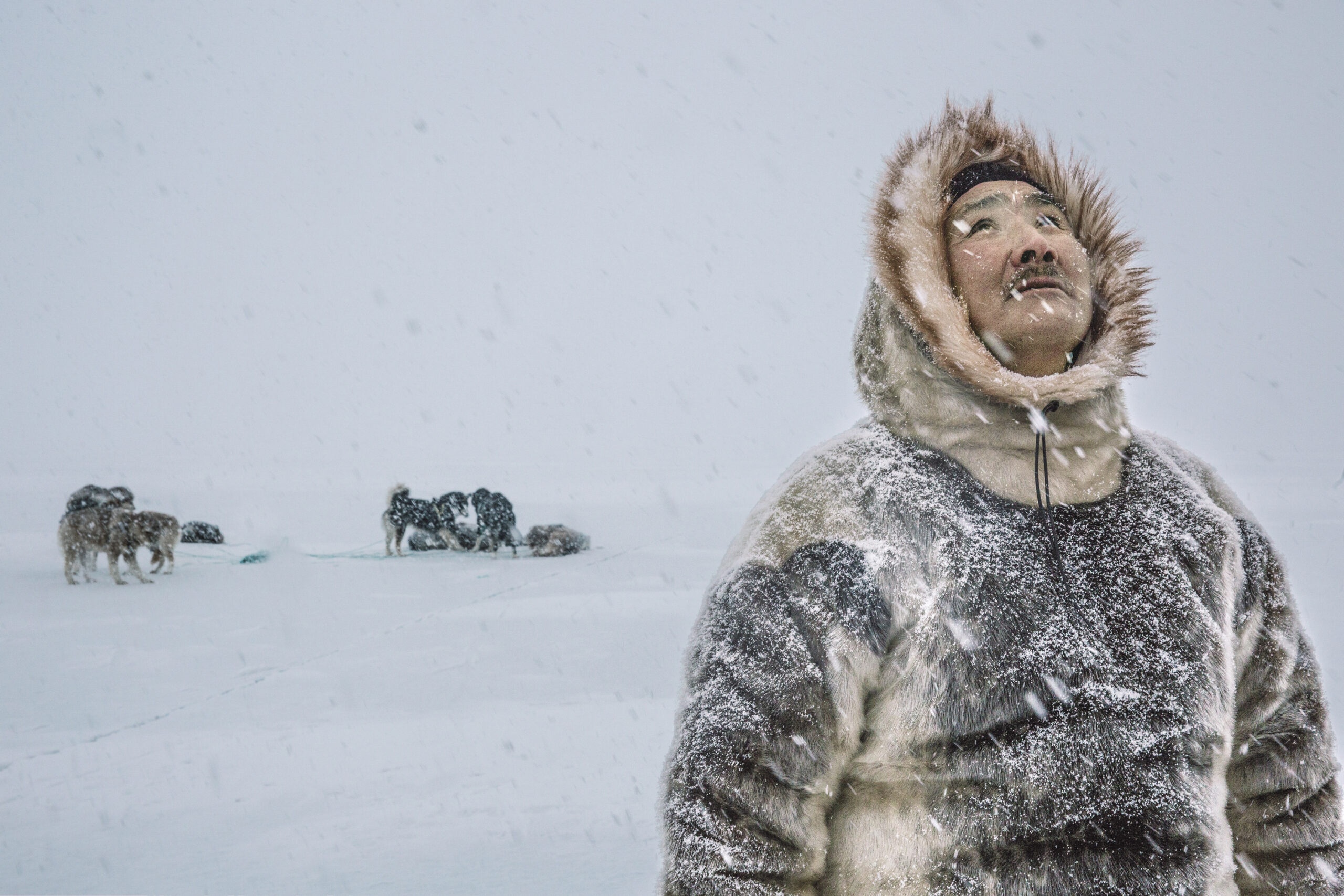SeaLegacy’s Photographers Capture Nature in Peril