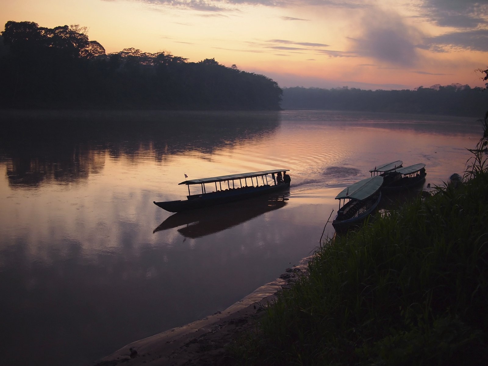 Moore Foundation Pledges $100 Million for Amazon Conservation