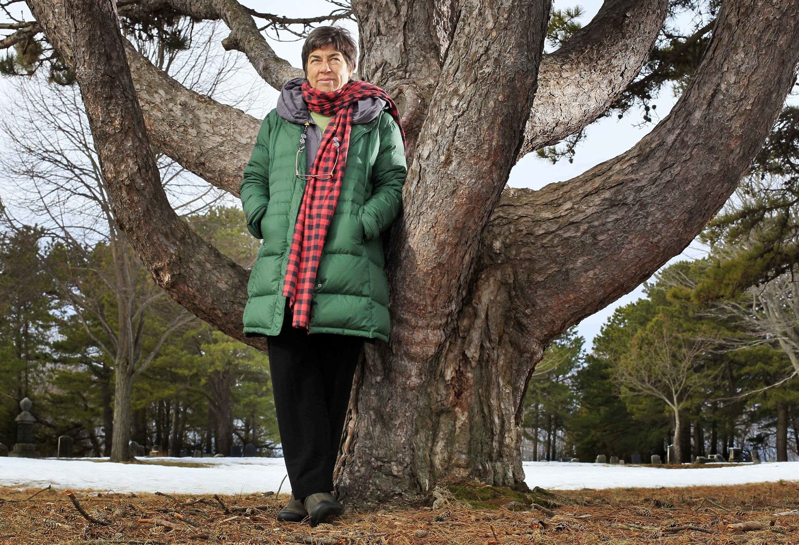 Gifts Roundup: $100-Million Donation Preserves Huge Swath of Maine Woods
