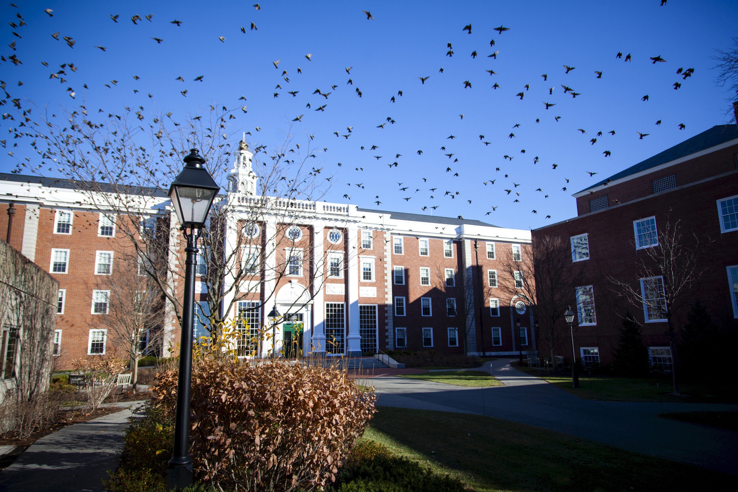 Donating to Ivy League Schools Is Ineffective and Unnecessary, and It Reinforces Inequality