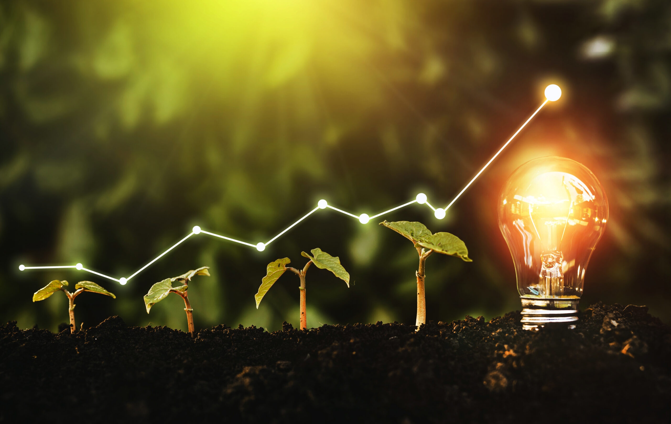 Spring Forward: 5 Ways to Advance Your Fundraising Now