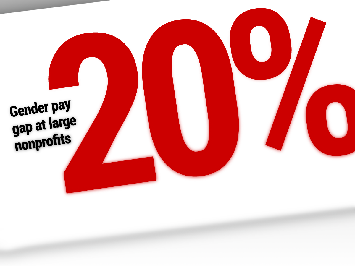Gender Pay Gap Persists at Large Nonprofits and Shrinks at Smaller Ones, Study Shows