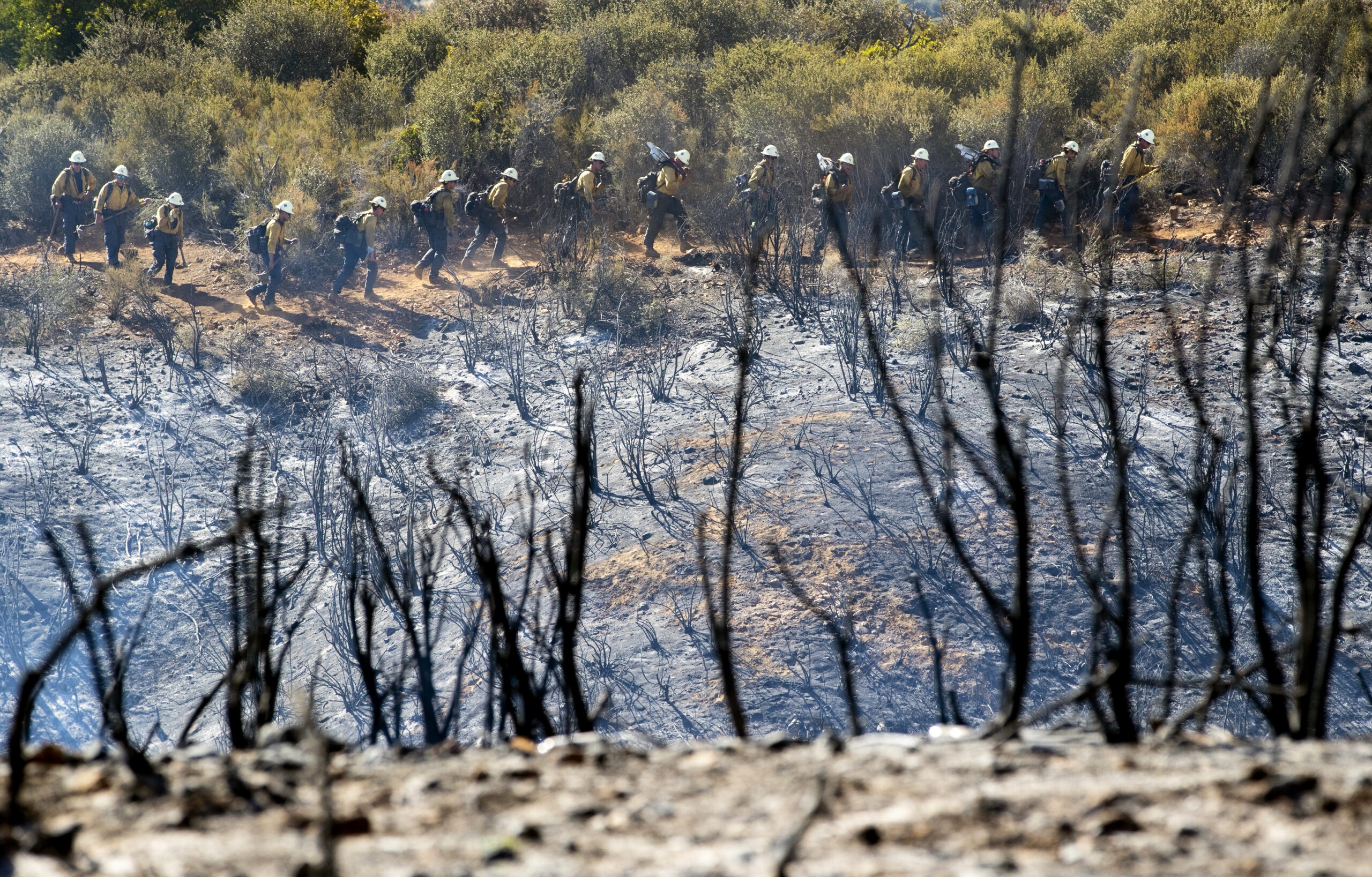 We Have Just One Decade to Turn Back the Worst of Climate Change: Here’s How Philanthropy Can Lead