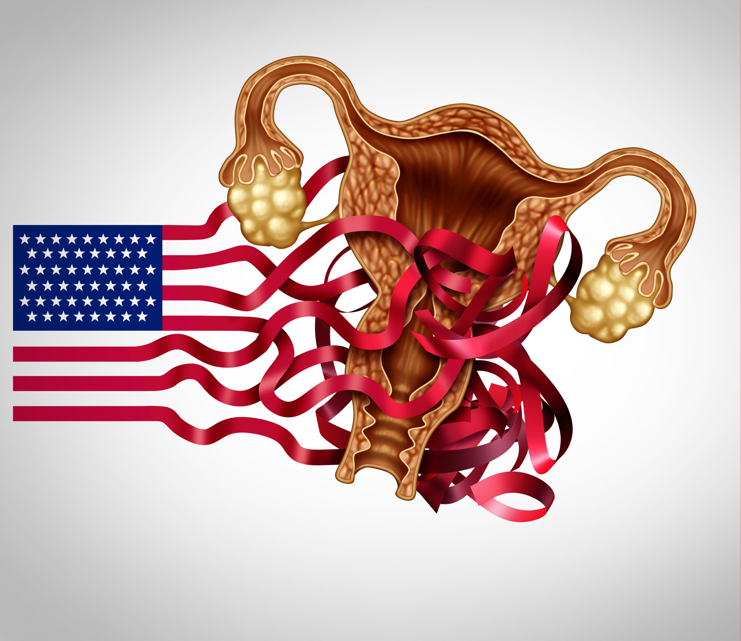 Donors Need to Recognize the Link Between Abortion and Democracy — and Fund Accordingly