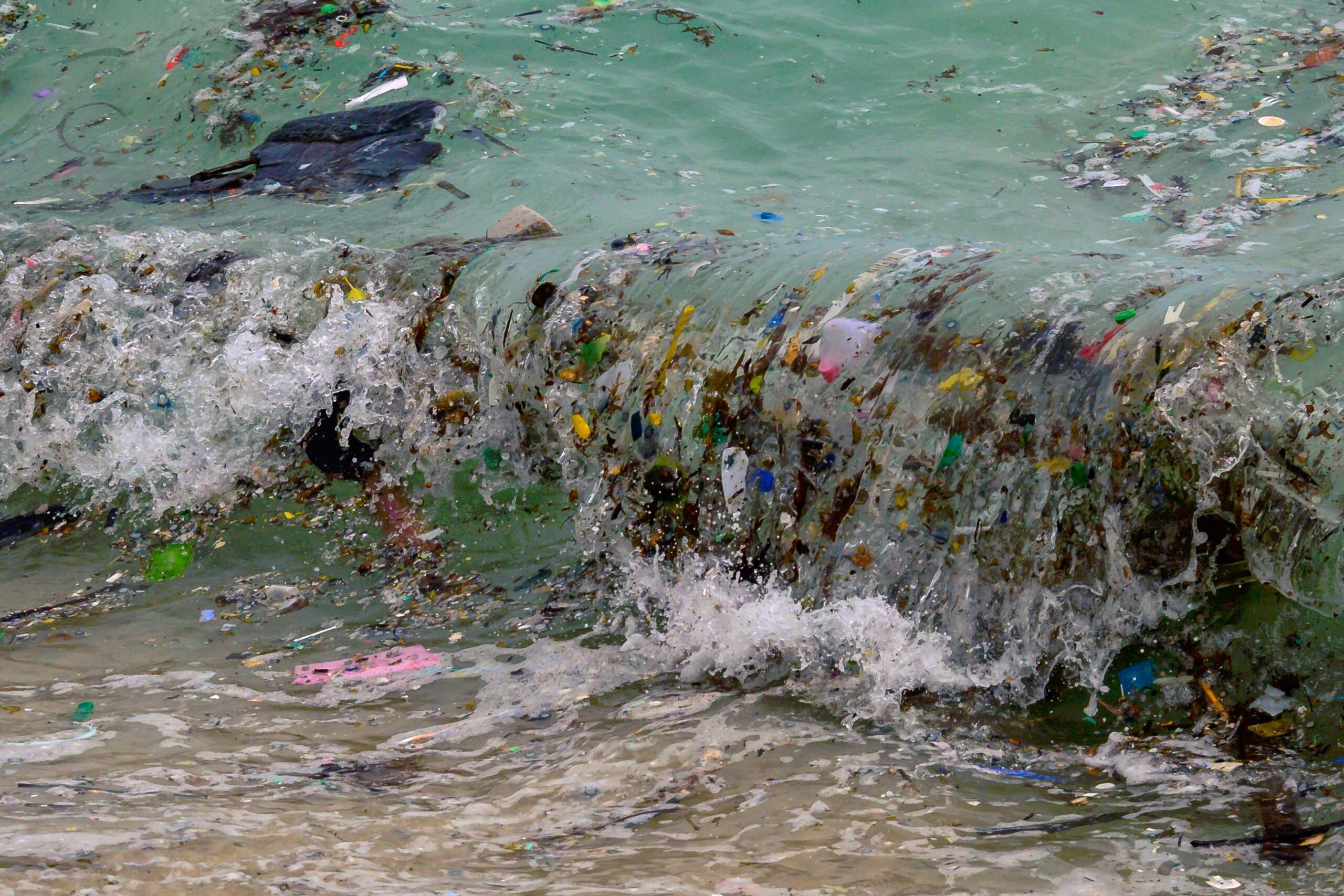 To Help Save the Planet, Philanthropy Must Take a Deep Dive Into Ocean Conservation
