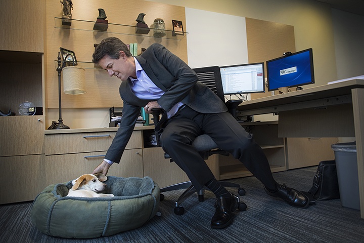 Humane Society Notches String of Big Wins Under Aggressive Leader