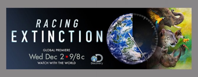 As Paris Talks Wrap Up, Foundations and  Media Must Join Hands to Push Climate Action