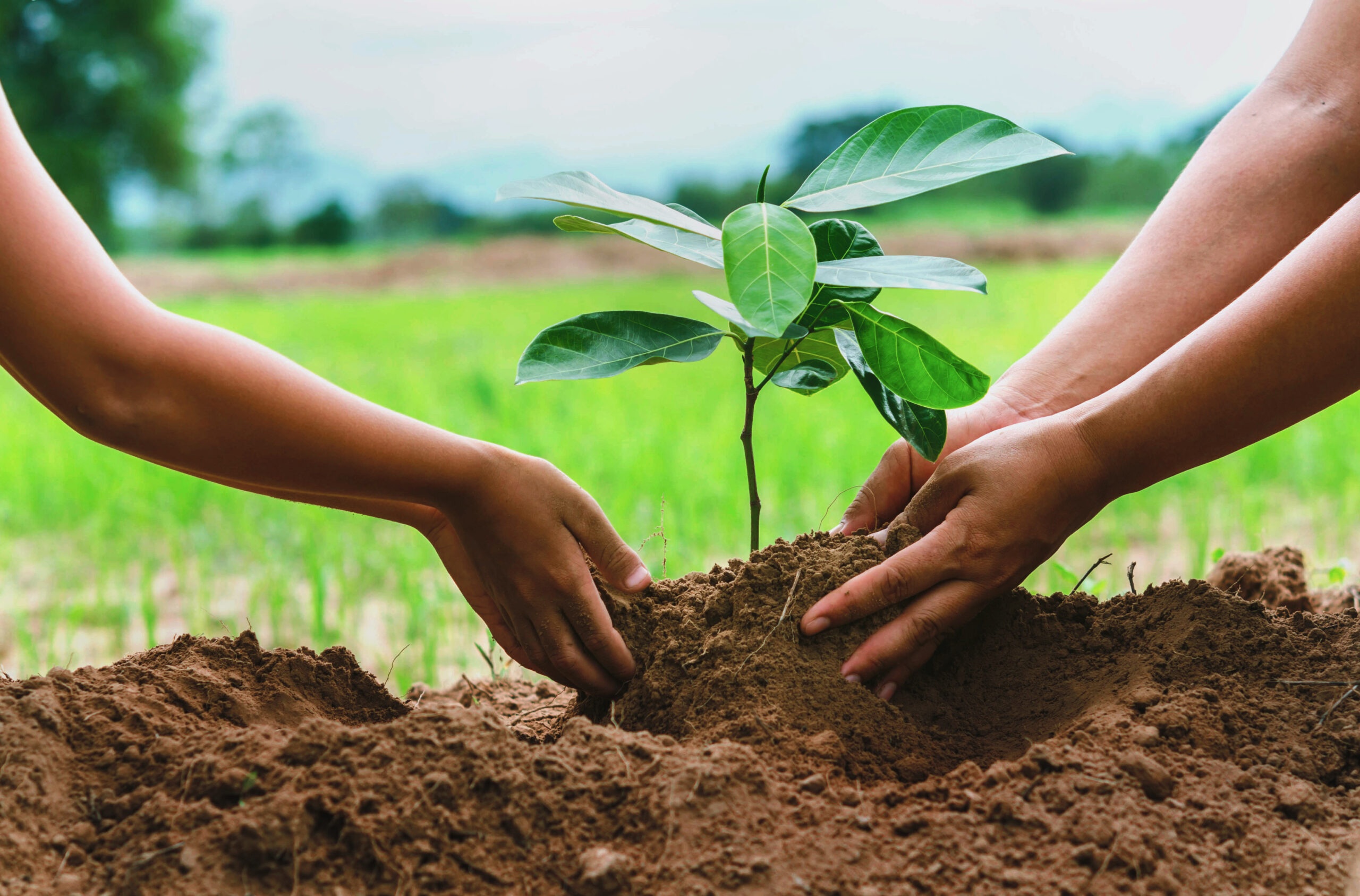 Nonprofits Should Consider the Potential Costs of Reducing Their Climate Impact